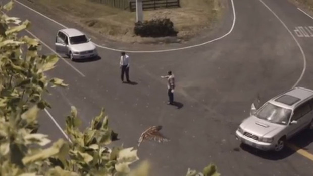 vidéo nouvelle zélande sécurité routière